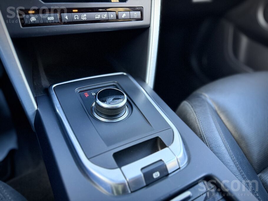 Disco sport (13).jpg